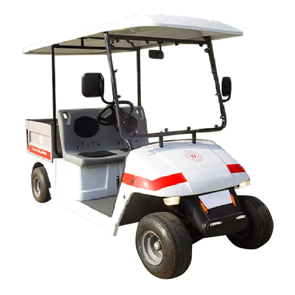 1elektrikli-2-kisilik-kasali-golf-araci-dass-bagi-2k-1000x1000