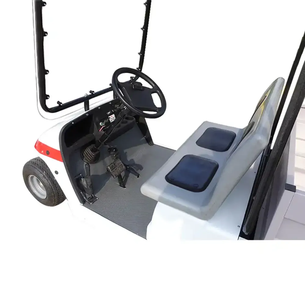 41elektrikli-2-kisilik-kasali-golf-araci-dass-bagi-2k-1000x1000