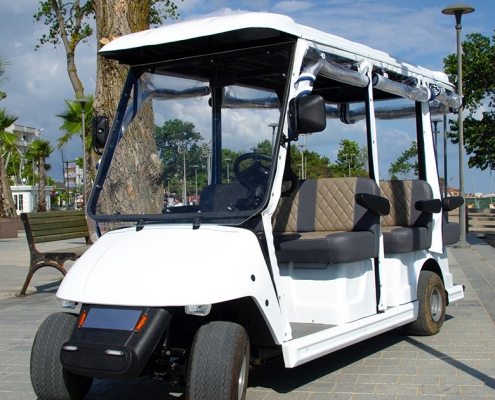 Kocaeli Elektrikli Golf Arabası