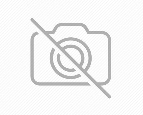 placeholder-1000x1000 Kompakt Otomatik Halı Yıkama Makinesi Dass POINT 3200P